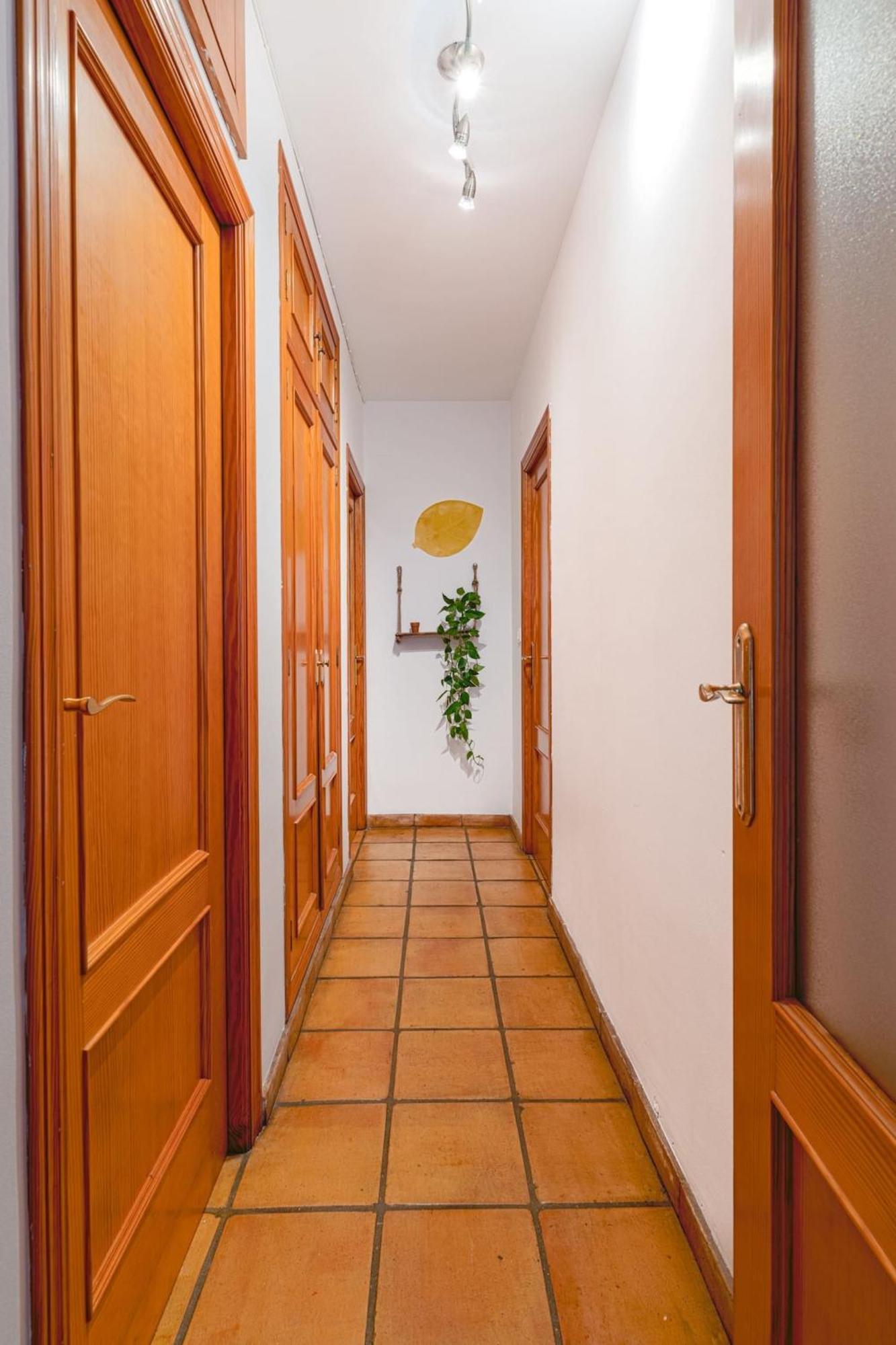 Musico Turia Gardens Apartman Valencia Kültér fotó
